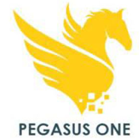 Pegasus One