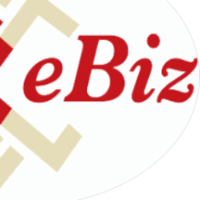 eBizInfoSys