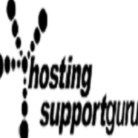 Hosting Support Guru