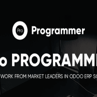 odoo programmers