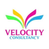 Velocity Consultancy