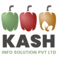 kash info solutions pvt Ltd.