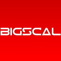 Bigscal Technologies Pvt. Ltd.