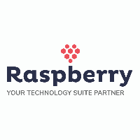 Raspberry IT Services