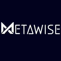 Metawise Private Limited