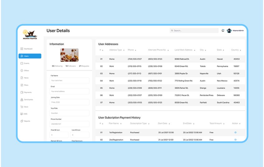 The Gray Bear agency's portfolio